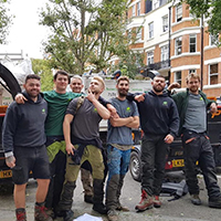 photo of the tree services team
