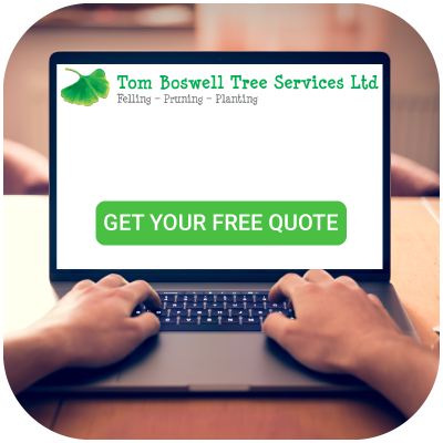 We provide free quotes for commercial tree work.