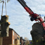 Tom Boswell Tree Services Limitd