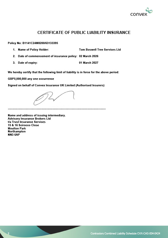 TBTS PL Insurance 2025-2026