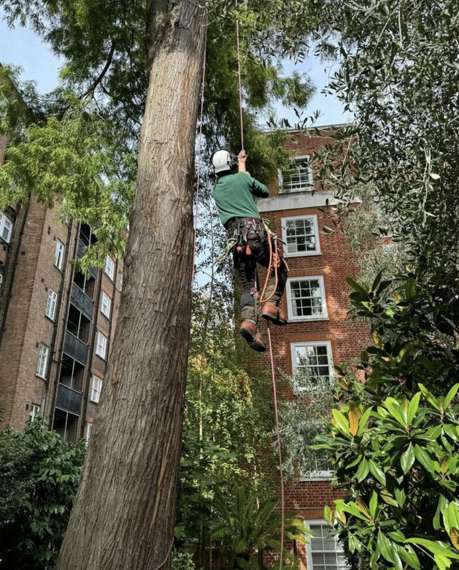 Second Climber vacancy