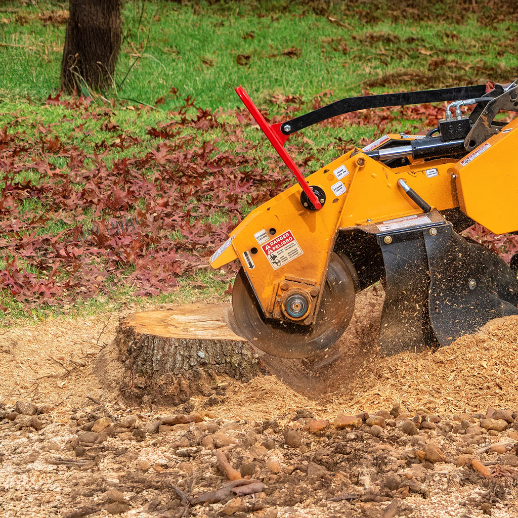 tree being ground with machine