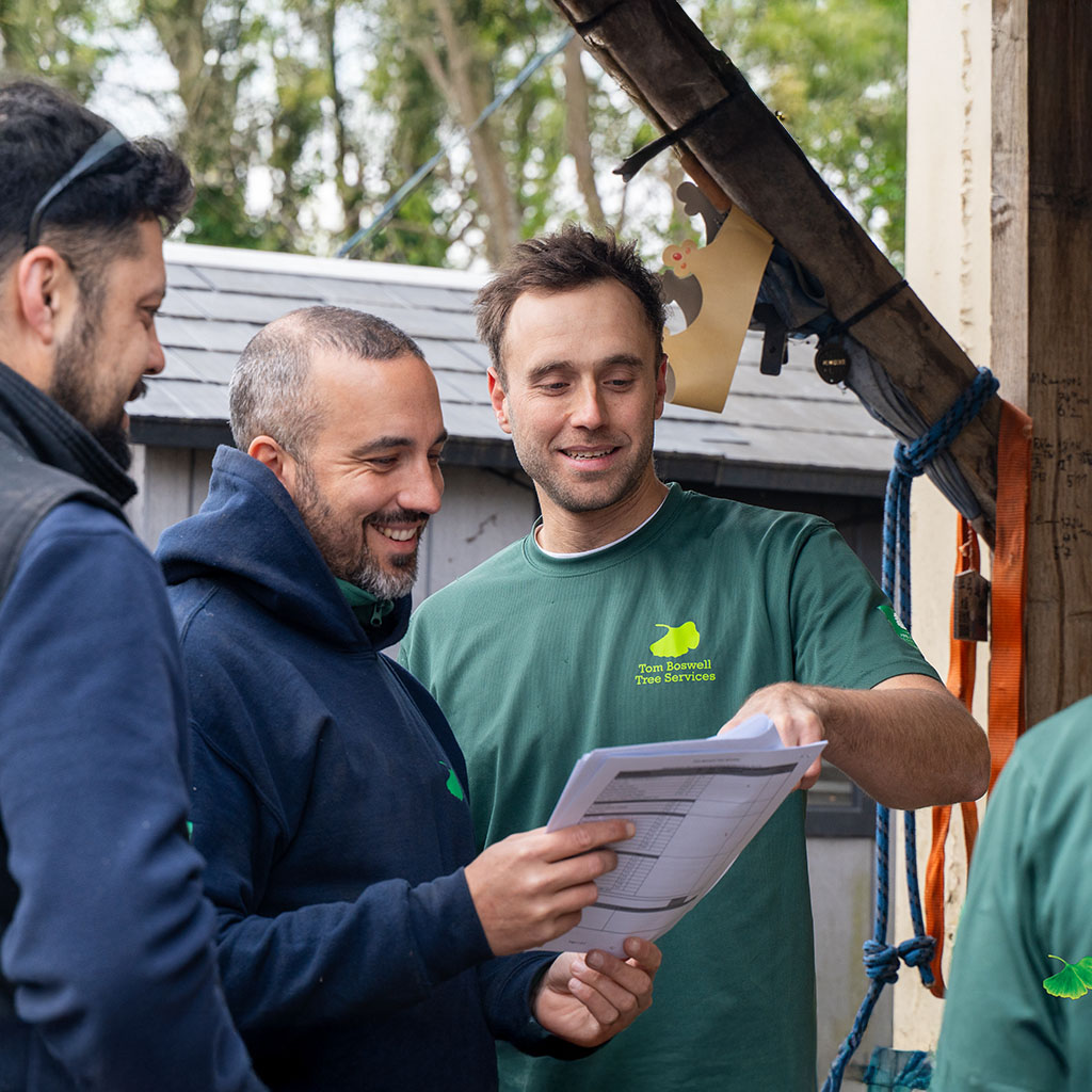 tree surgeon discussing approve work