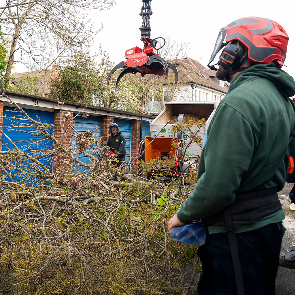 tree surgeon operating grabber crane