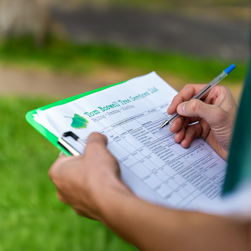 tree surgeon taking survey using green clipboard