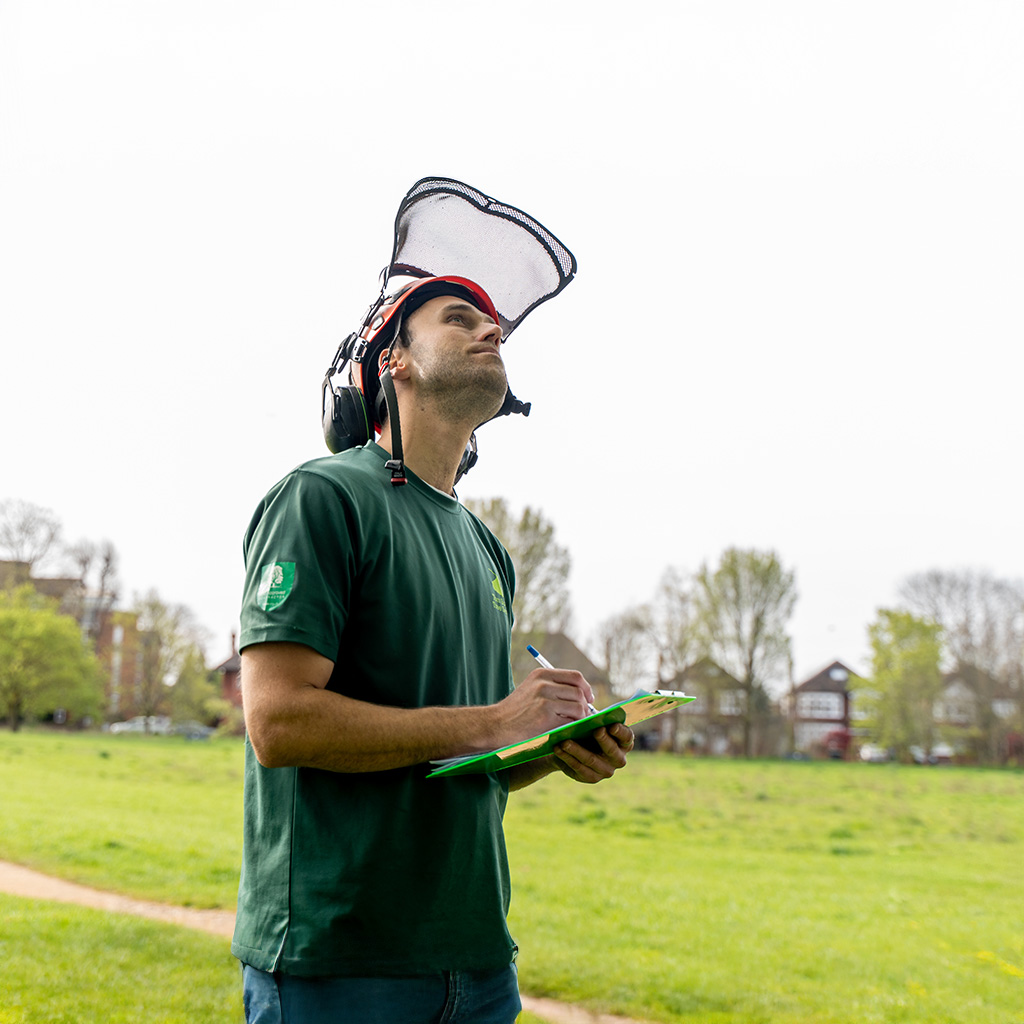 Man with clipboard performs a tree survey