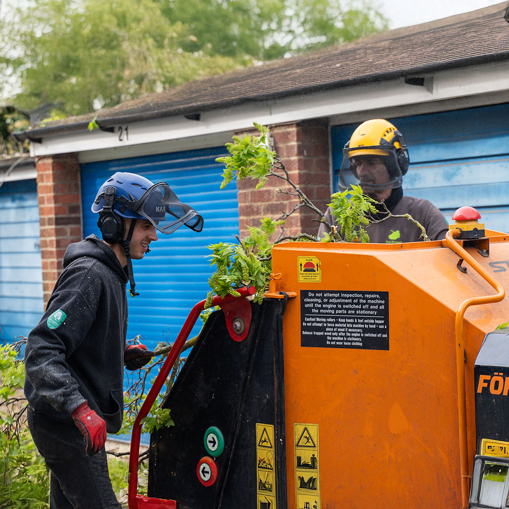 two tree surgeons using wood chipper