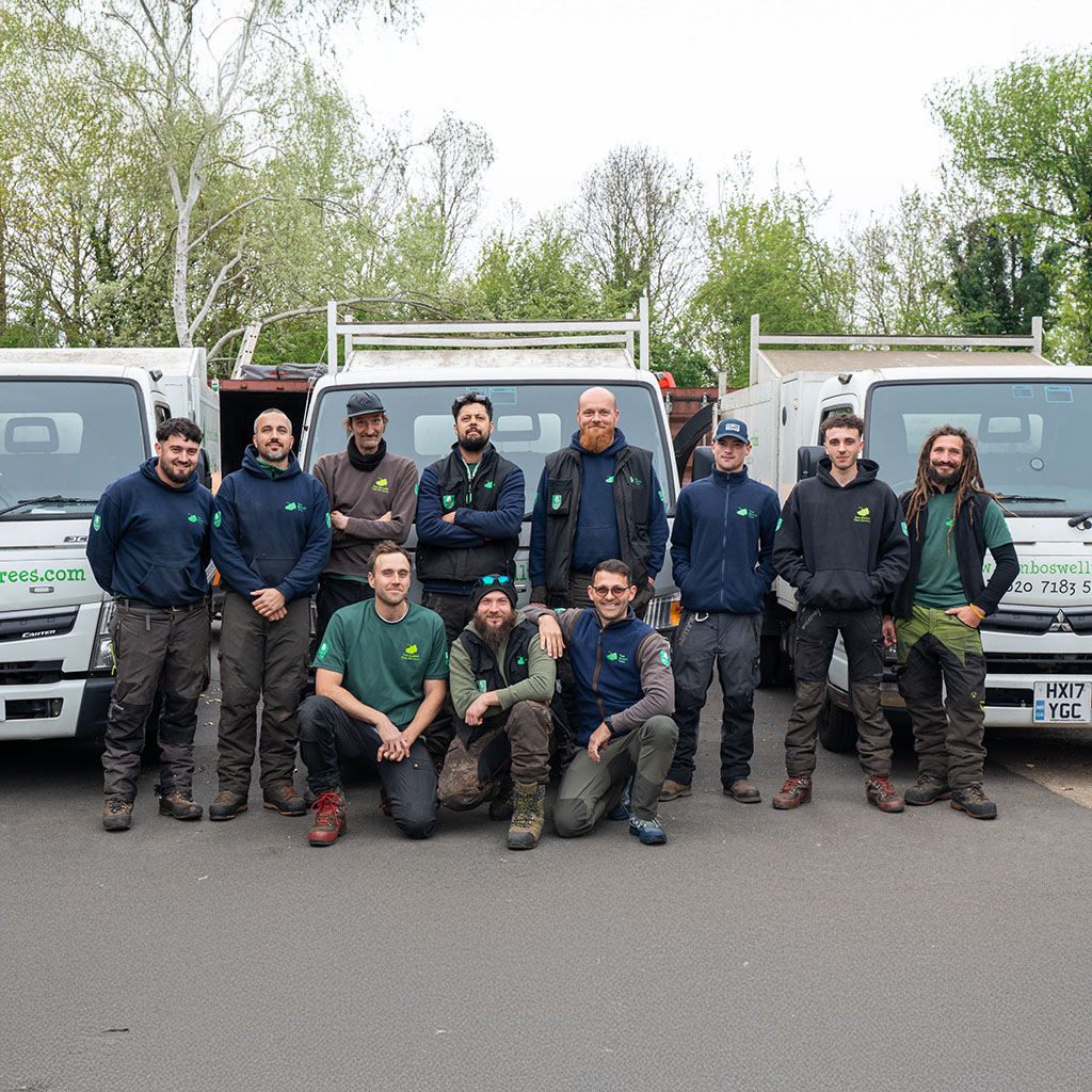 Tom Boswell Trees team stood in front of company vehicles