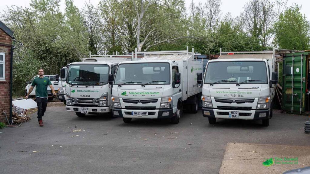three Tom Boswell trees vans