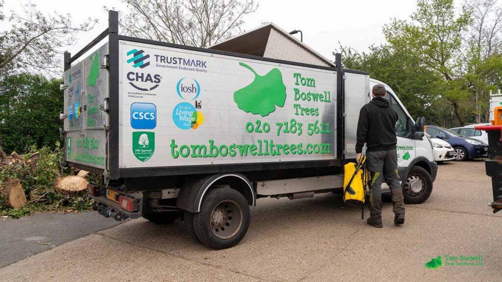 Right hand side of rumbles Wells trees van with Tom Boswell trees logo and web address