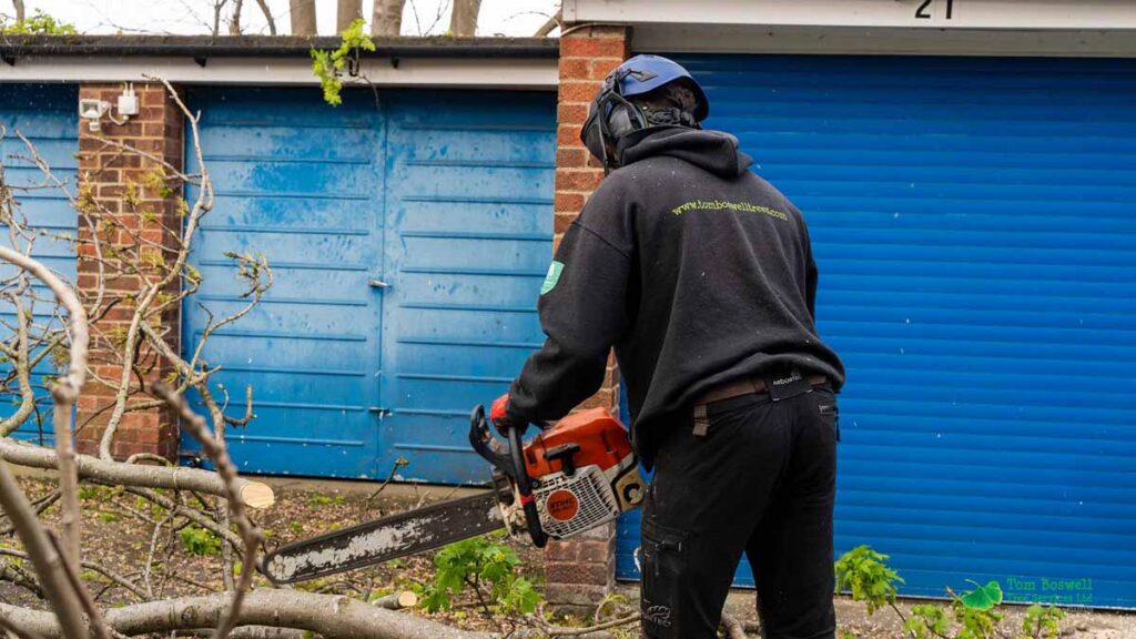 Tree surgeon cutting at fallen trees with chain chainsaw