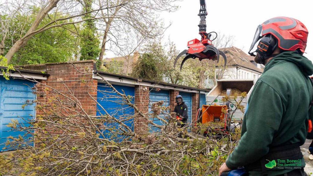Tree surgeon remotely operating tree grabber