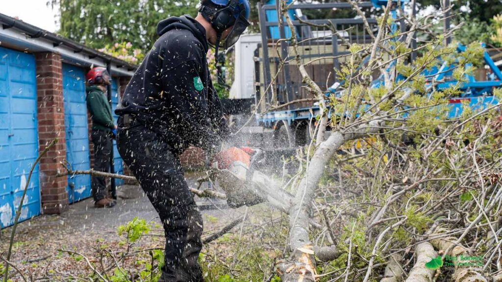 Tree surgeon cutting down branches with chainsaw using protective gear