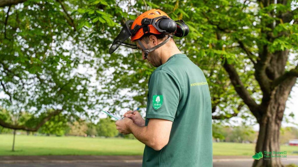 Tree surgeon making a tree survey while wearing protective gear writing on clipboard