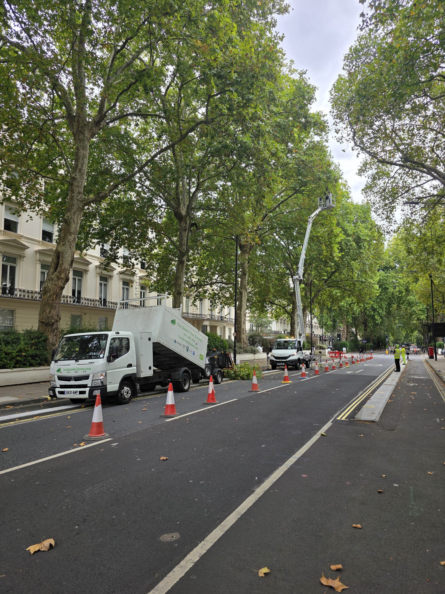 Commercial property maintenance – Climbing high in Westminster!