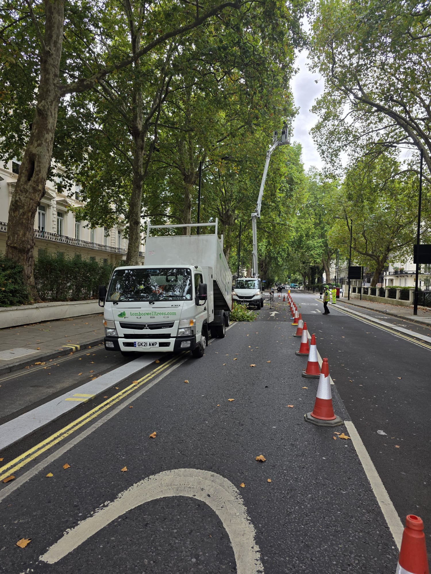 Project in London