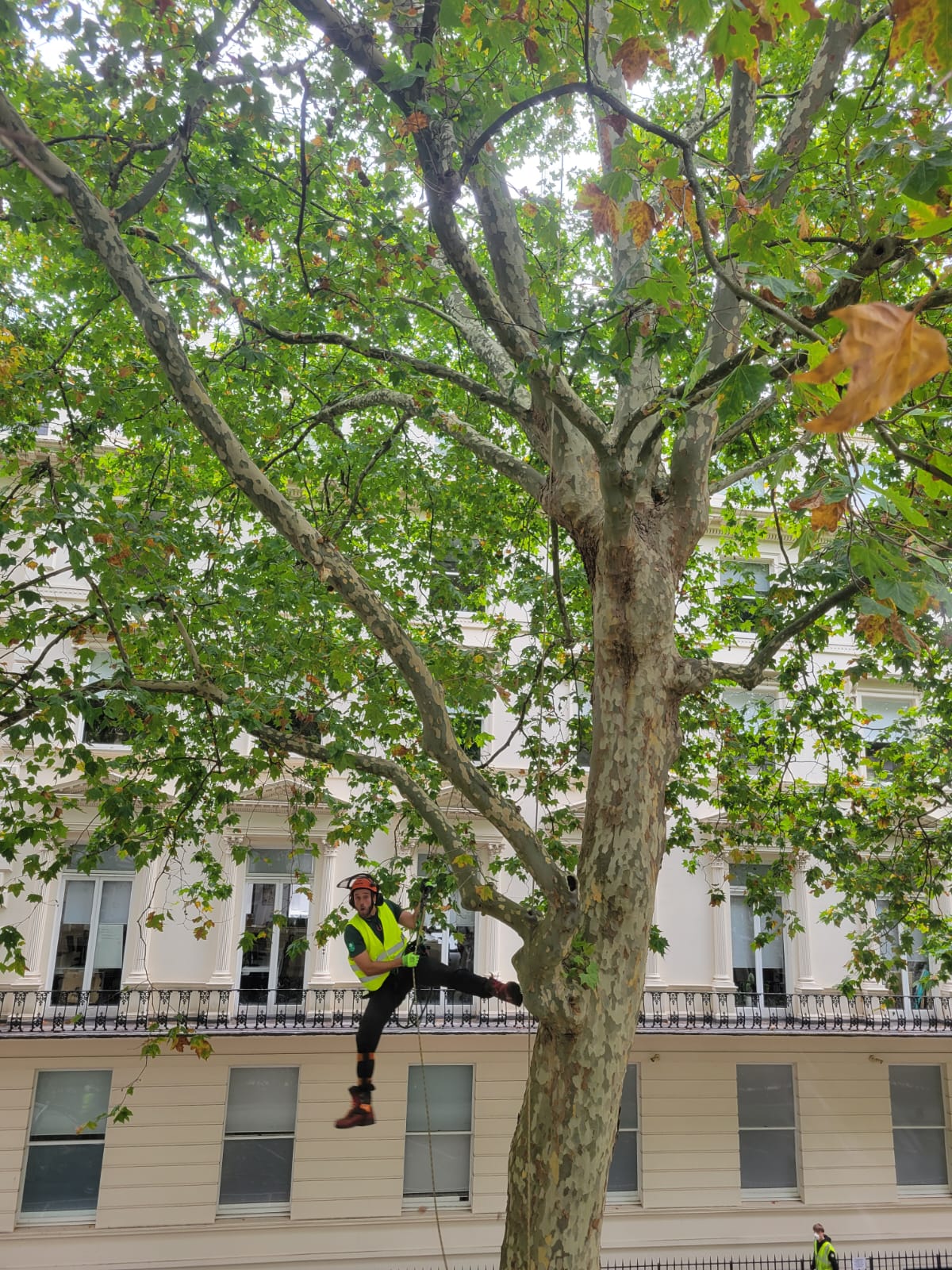 Project in London